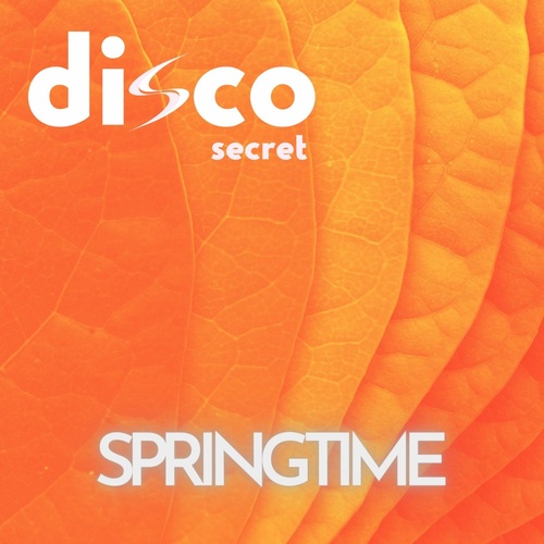 Disco Secret - Springtime [BGR033]